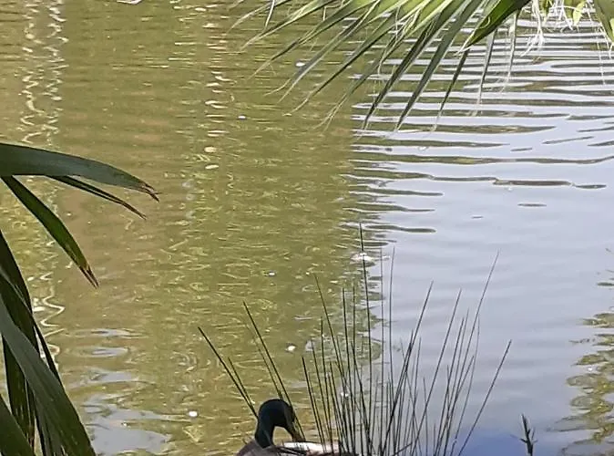 Appartement Front De Golfe De Saint-tropez
