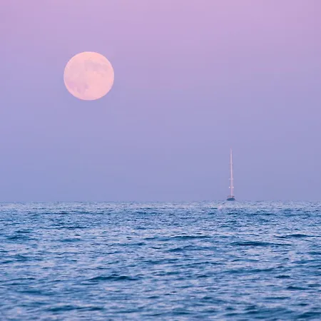 Apartment Front De Golfe De Saint-tropez *